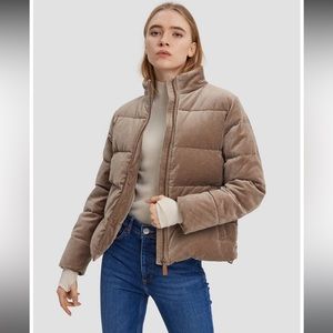 ❤️ Lattelier velvet puffer jacket/coat